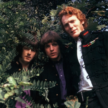 Cream
