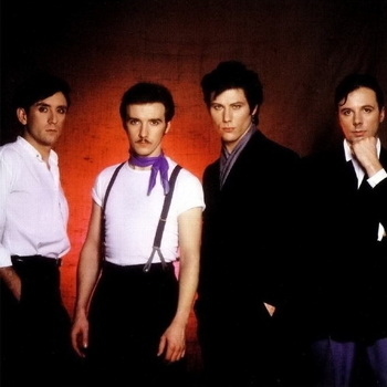 The Wild, The Beautiful & The Damned 