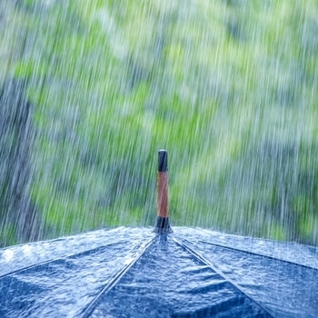 November Rain 