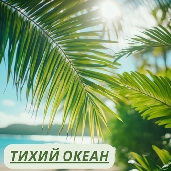 Летний дождь