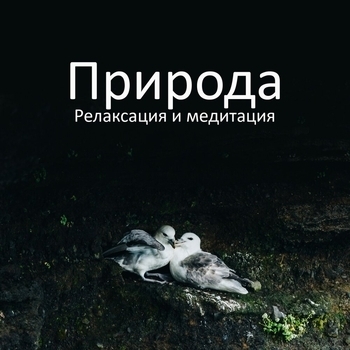 Прилив 