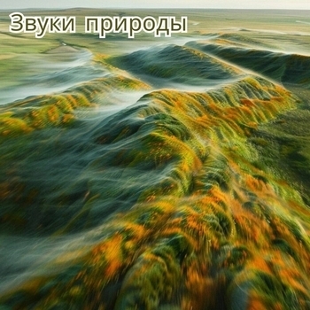 Все под контролем