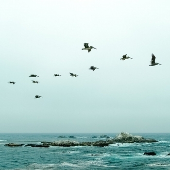 Tranquill Baby Lullaby and Ocean Waves